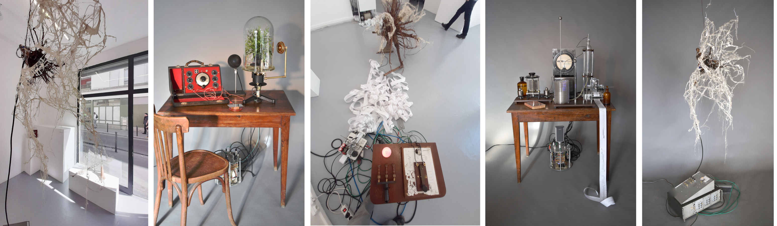 Peter Keene et Piet.sO - exposition a tree for two, sept 2019, plateforme gallery, Paris. Installations, experiments and video, in a sort of looped communication apparatus with their garden in Center of France