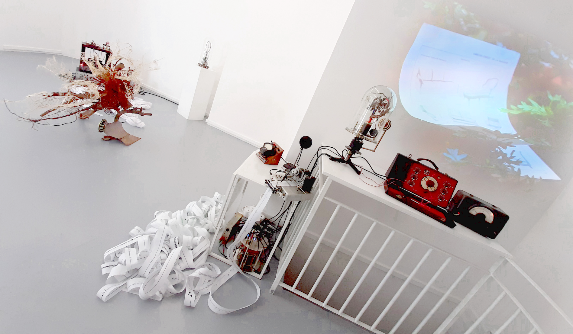 Peter Keene et Piet.sO -  installation/experimentation  immersive sculptural and sound .the tree. exhibition a tree for two,  plateforme gallery, Paris