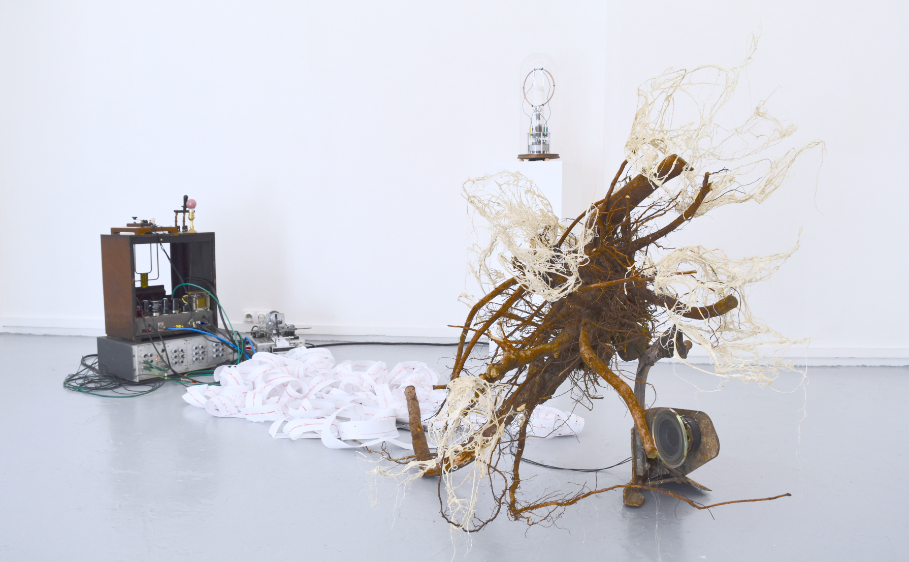 Peter Keene et Piet.sO - attempt to communicate with the garden, contemporary art