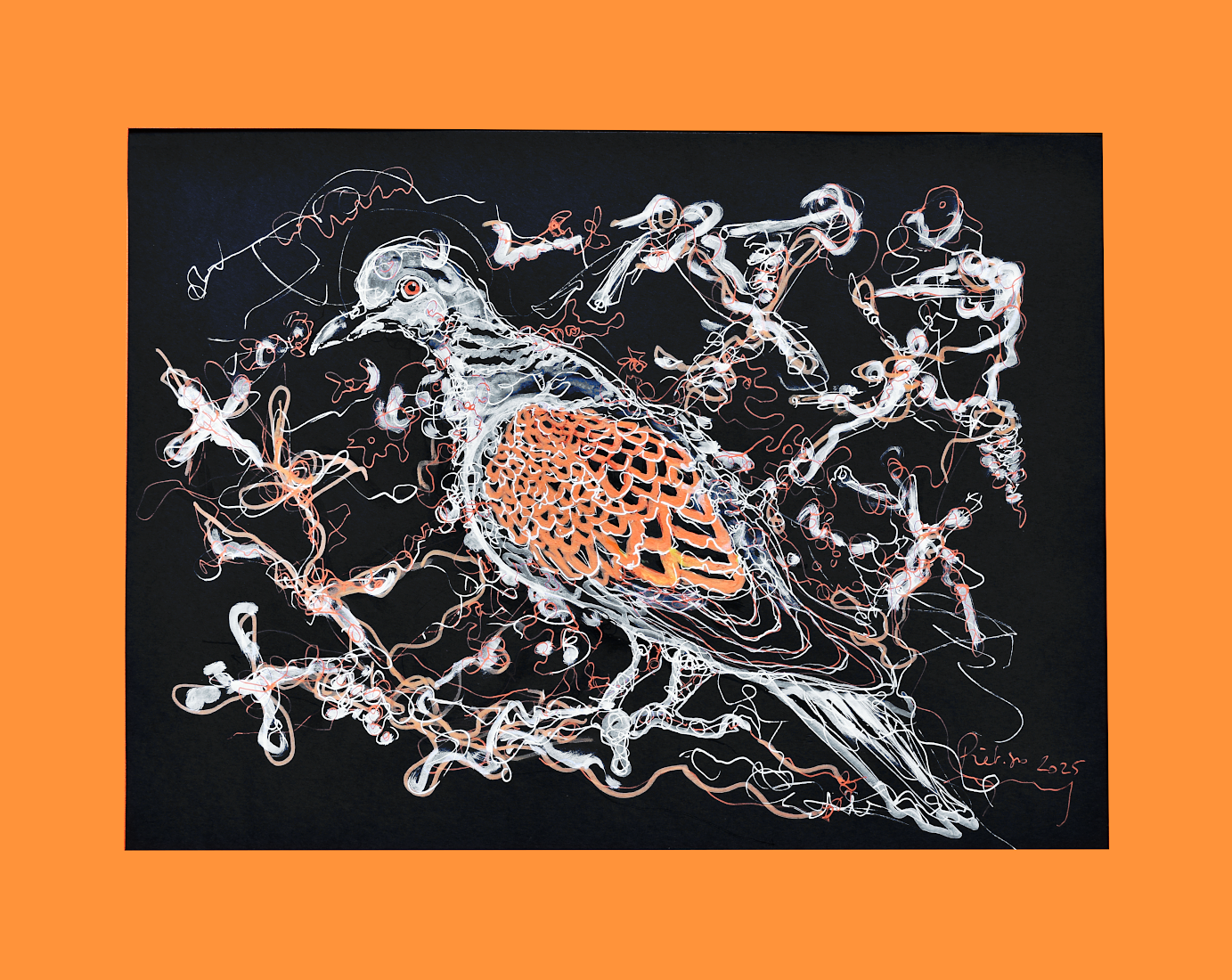 Piet.sO - contemporary drawing of a bird, turtledove. Acrylic on paper, contemporary art.