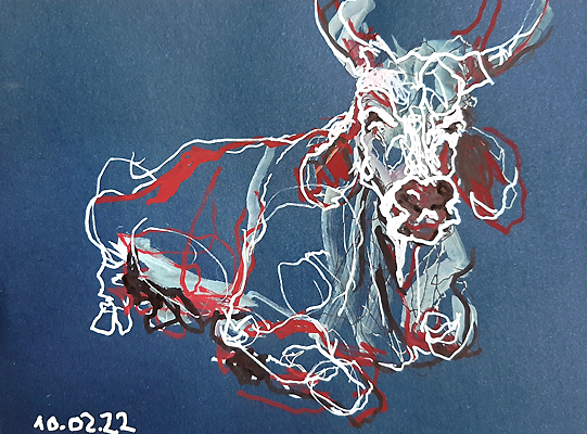 mercredi - Piet.sO - dessin de vache au feutre acrylique sur bristol. journal dessiné de la covalescence de mon radius droit. Dessin de la mauvaise main. Exposition personnelle : savez-vous planter les choux - Piet.sO - Espace d'art contemporain Jean Prouvé d'Issoire