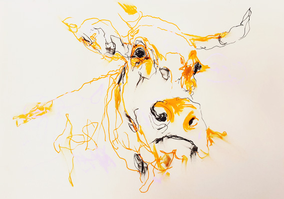 contemporary drawing of cow,personal exhibition : savez-vous planter les choux - Piet.sO - Espace d'art contemporain Jean Prouvé, Issoire, France - pastel on paper, gaucherie. wrong hand drawing