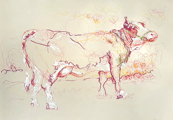 encore en corne- Piet.sO - dessin de vache au stylo bille sur papier. de la main gauche, gaucherie,  Dessin de la mauvaise main.Exposition personnelle : savez-vous planter les choux - Piet.sO - Espace d'art contemporain Jean Prouvé d'Issoire