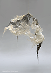 sculpture dress, acrylic resin, branches, Piet.sO 2015