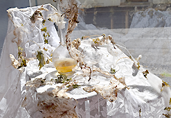 installation stinging nettle, found objects - Piet.sO 2018 - contemporary art installation 