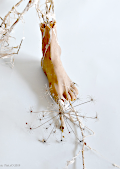 installation art, métamorphose humain végétal - Piet.sO 2018 - art contemporain 