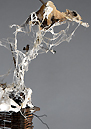 sculpture skeleton of human, animal and piano- art  - newsculpture Piet.sO 2018 