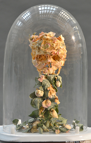 sculpture vanitas in petals of roses, Piet.sO 2013.