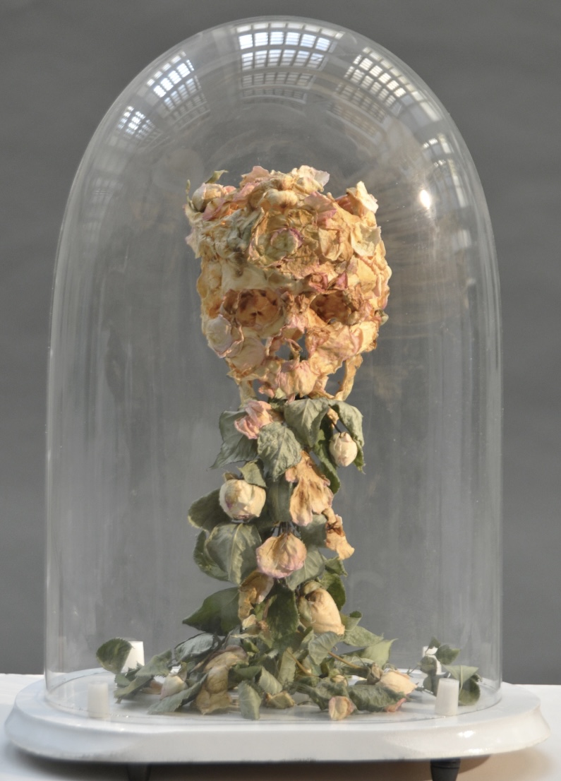sculpture vanité en pétales de roses séchées sous cloche en verre de bouquet de mariée.  Piet.sO 2013.