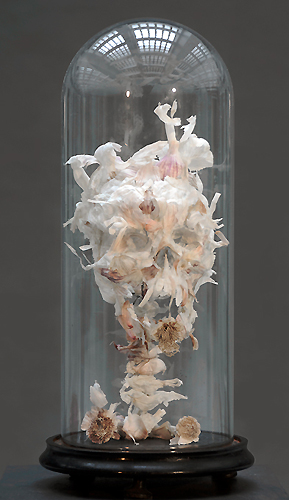 Allium sativum amen - Piet.sO  2014 sculpture vanité en feuilles d'ail sous cloche de verre