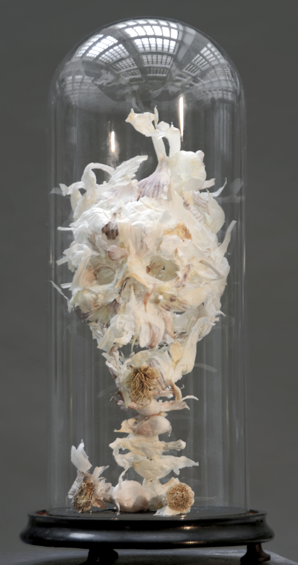 sculpture vanitas with garlic leaves. Piet.sO,contemporary art