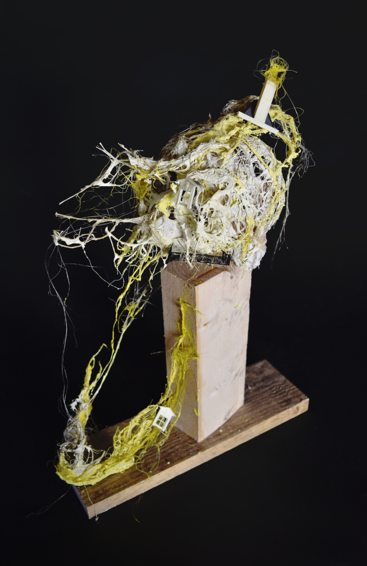 La mansarde - art contemporain - Piet.sO  2018 sculpture grenier maison crâne en résine acrylique.